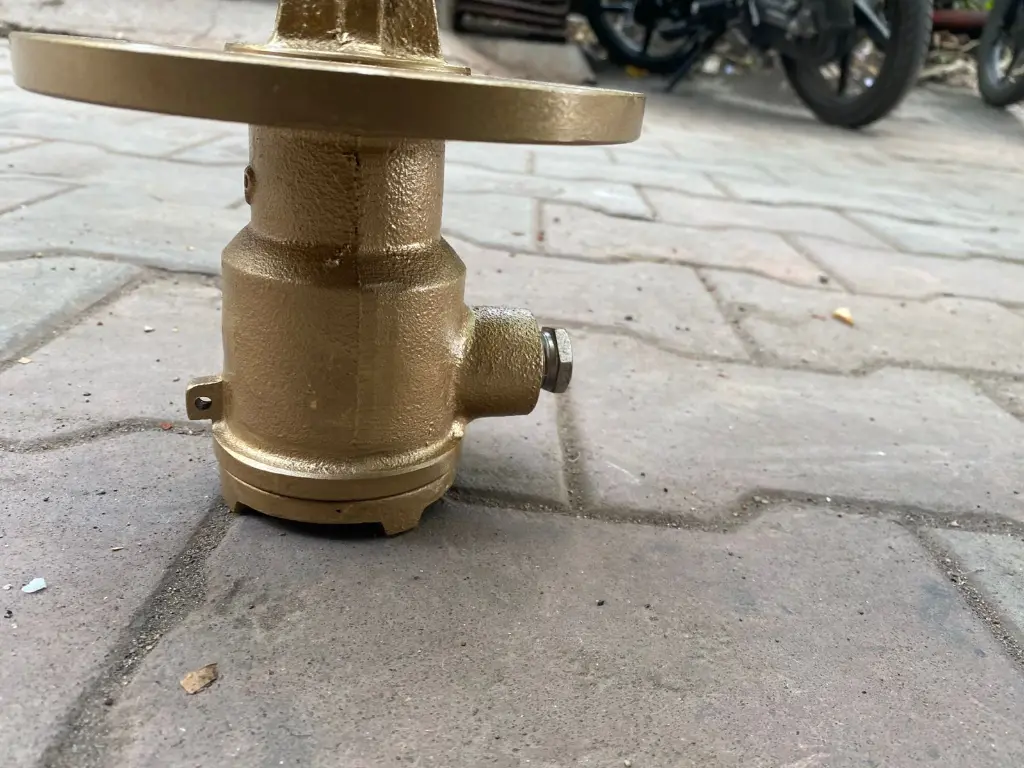 WhatsApp Image 2025-06-05 at 12.02.43 PM (1).webp