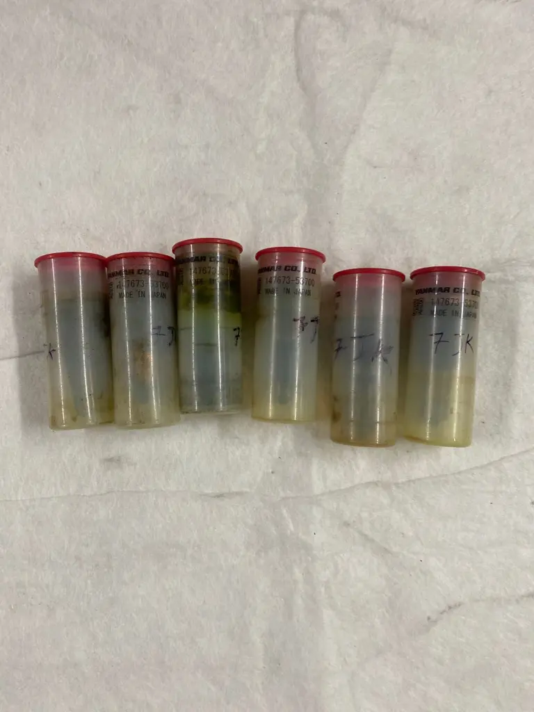 WhatsApp Image 2025-09-25 at 11.37.36 AM (1).webp