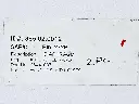 s-l1600.webp